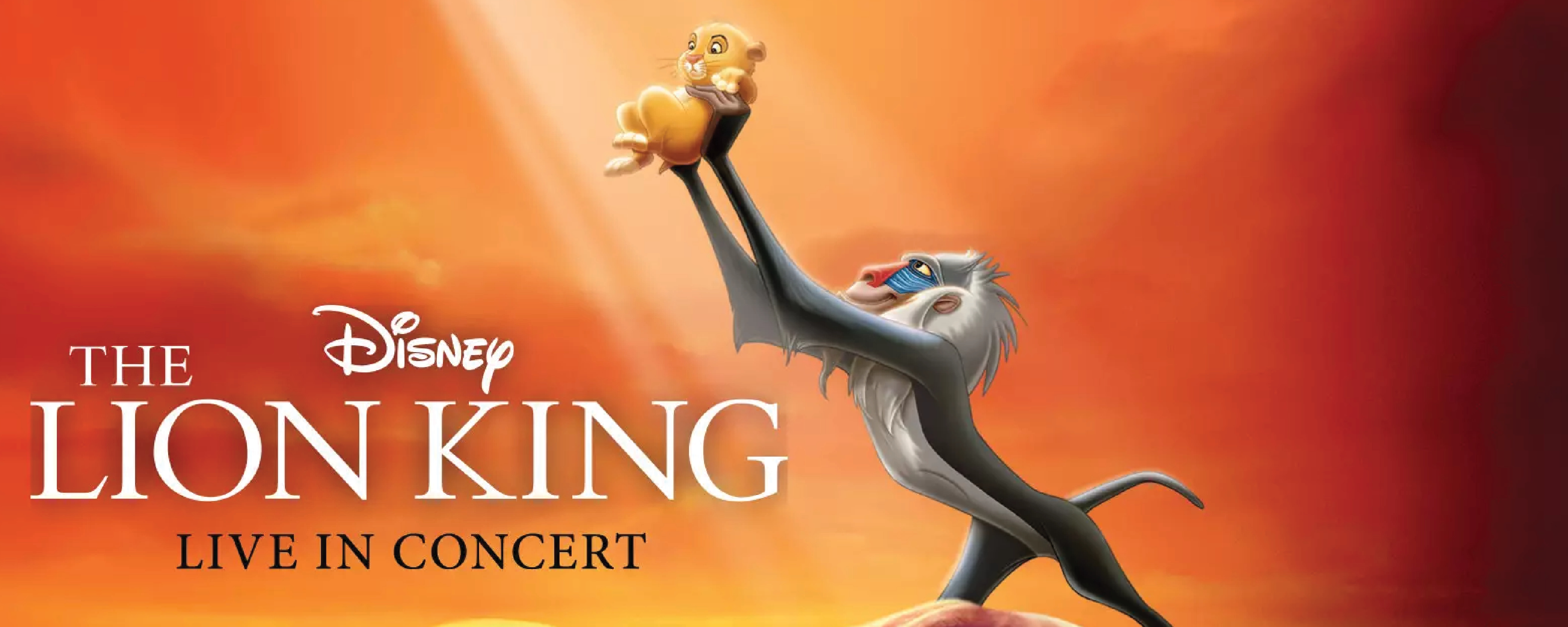 The Lion King Web Banner